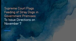 Screenshot_20251103_202338_Drive